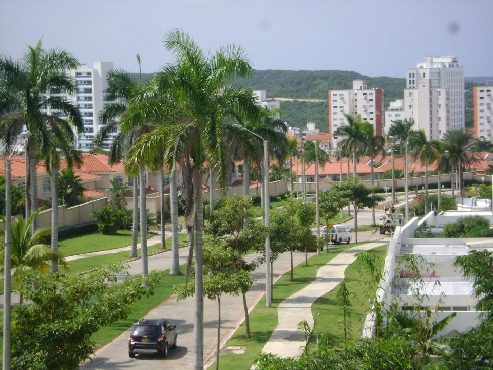 Petro critica las palmeras en Barranquilla y Pumarejo responde defendiendo el modelo ambiental